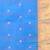 sky blue cotton blend taant saree with zari border
