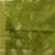 Slimy green leaf motif zari weaving handloom saree
