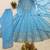 Sky-blue georgette embroidered flared gown set