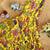 Yellow tussar silk gown for girls features a vibrant pen kalamkari floral print