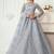 Grey Embroidered Net Stone Work Lehenga Choli - Free size