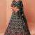 Green Net Hand Embroidery Lehenga Choli - Free size