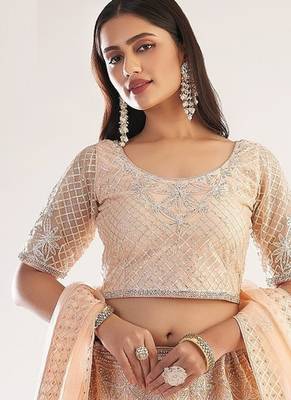 Peach Net Hand Embroidery Lehenga Choli - Free size 2