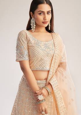Peach Net Hand Embroidery Lehenga Choli - Free size 1