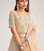 Peach Net Hand Embroidery Lehenga Choli - Free size