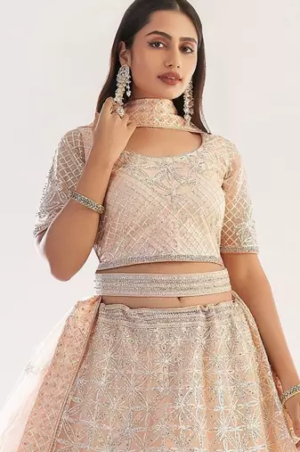 Peach Net Hand Embroidery Lehenga Choli - Free size