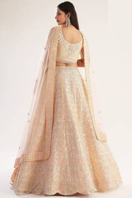 Peach Net Hand Embroidery Lehenga Choli - Free size 4