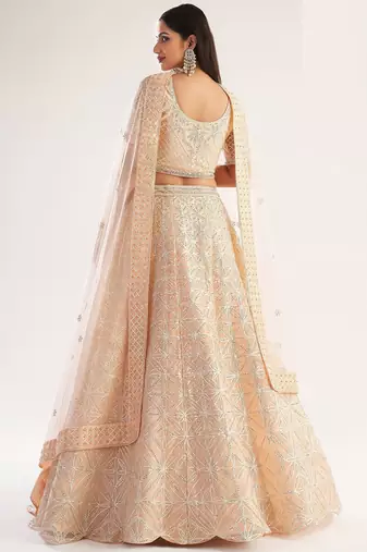 Peach Net Hand Embroidery Lehenga Choli - Free size