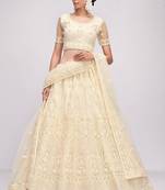 Off White Embroidered Net Thread Work Lehenga Choli - Free size