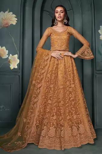 Orange Embroidered Net Thread Work Lehenga Choli - Free size