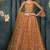 Orange Embroidered Net Thread Work Lehenga Choli - Free size