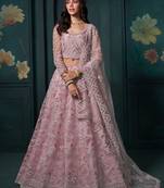 Dusty Pink Embroidered Net Thread Work Lehenga Choli - Free size