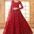 Red Embroidered Net Thread Work Lehenga Choli - Free size