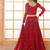 Red Embroidered Net Thread Work Lehenga Choli - Free size