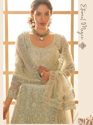 Pista Green Embroidered Net Thread Work Lehenga Choli - Free size 2