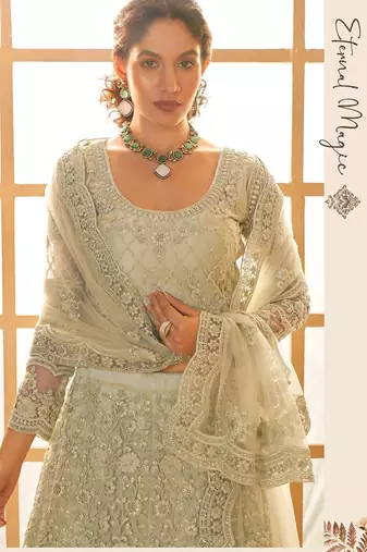 Pista Green Embroidered Net Thread Work Lehenga Choli - Free size