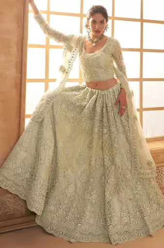 Pista Green Embroidered Net Thread Work Lehenga Choli - Free size