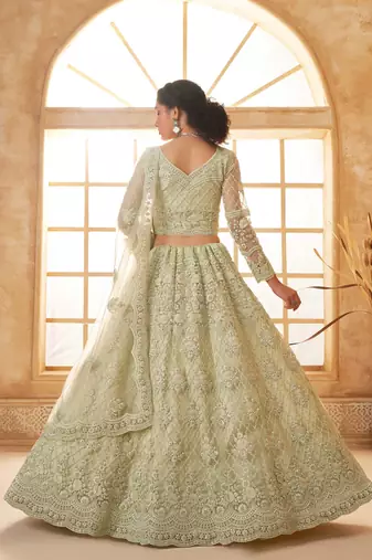 Pista Green Embroidered Net Thread Work Lehenga Choli - Free size
