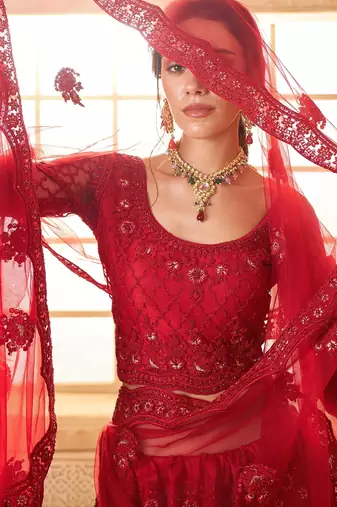 Red Embroidered Net Thread Work Lehenga Choli - Free size