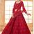 Red Embroidered Net Thread Work Lehenga Choli - Free size