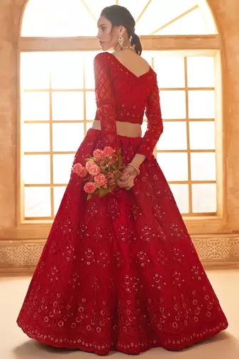 Red Embroidered Net Thread Work Lehenga Choli - Free size