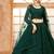 Green Embroidered Net Thread Work Lehenga Choli - Free size