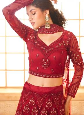 Red Embroidered Net Thread Work Lehenga Choli - Free size 2