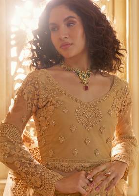 Fawn Embroidered Net Thread Work Lehenga Choli - Free size 2