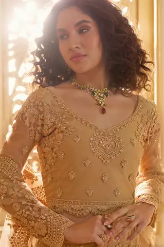Fawn Embroidered Net Thread Work Lehenga Choli - Free size