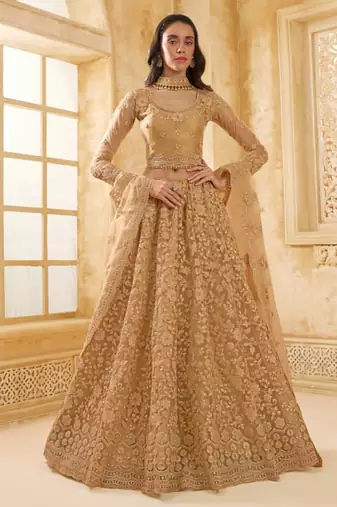 Fawn Embroidered Net Thread Work Lehenga Choli - Free size