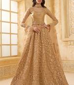 Fawn Embroidered Net Thread Work Lehenga Choli - Free size