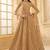 Fawn Embroidered Net Thread Work Lehenga Choli - Free size