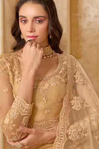 Fawn Embroidered Net Thread Work Lehenga Choli - Free size