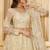 White Embroidered Net Thread Work Lehenga Choli - Free size