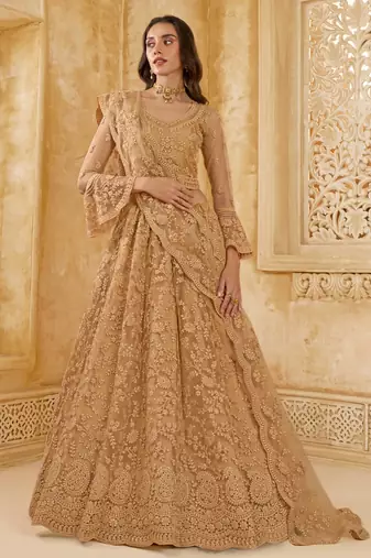 Fawn Embroidered Net Thread Work Lehenga Choli - Free size