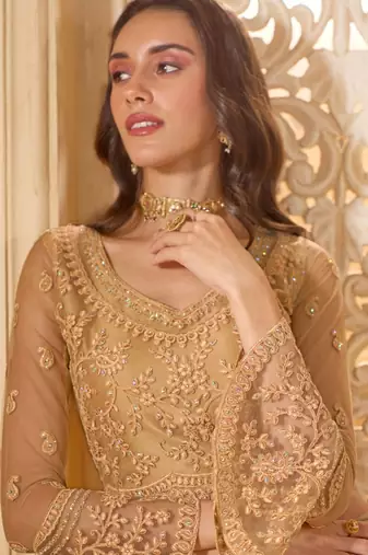Fawn Embroidered Net Thread Work Lehenga Choli - Free size
