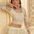 White Embroidered Net Thread Work Lehenga Choli - Free size