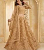 Fawn Embroidered Net Thread Work Lehenga Choli - Free size