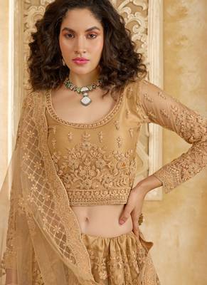 Fawn Embroidered Net Thread Work Lehenga Choli - Free size 2