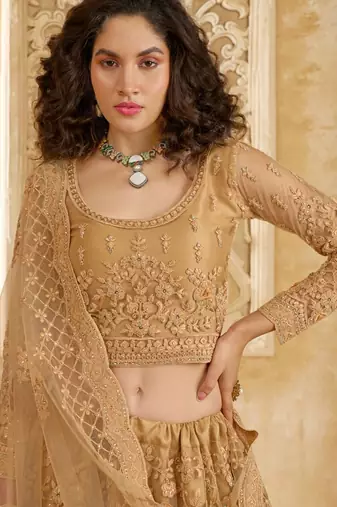 Fawn Embroidered Net Thread Work Lehenga Choli - Free size
