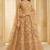 Fawn Embroidered Net Thread Work Lehenga Choli - Free size