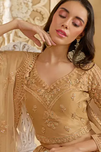 Fawn Embroidered Net Thread Work Lehenga Choli - Free size