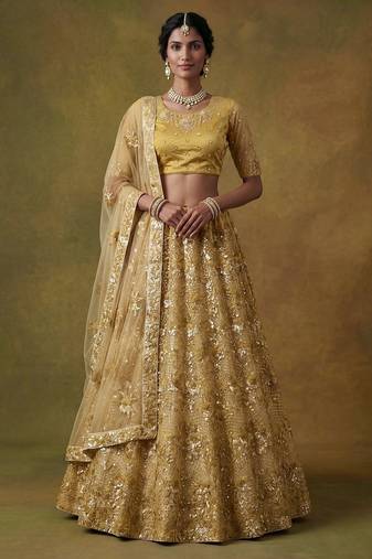 Red Embroidered Net Thread Work Lehenga Choli - Free size