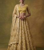 Red Embroidered Net Thread Work Lehenga Choli - Free size