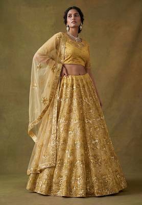 Red Embroidered Net Thread Work Lehenga Choli - Free size 2