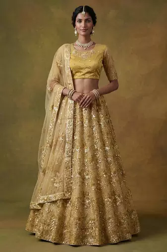 Red Embroidered Net Thread Work Lehenga Choli - Free size