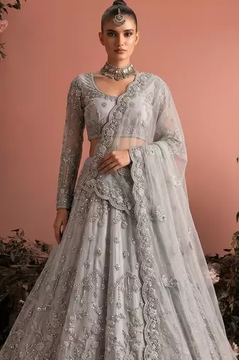 Blue Embroidered Net Zari Work Lehenga Choli - Free size