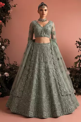 Sea Green Embroidered Net Zari Work Lehenga Choli - Free size