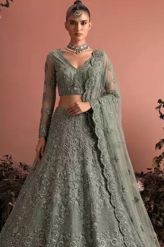 Sea Green Embroidered Net Zari Work Lehenga Choli - Free size