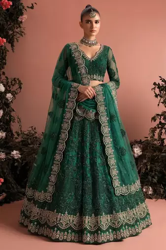 Green Embroidered Net Zari Work Lehenga Choli - Free size